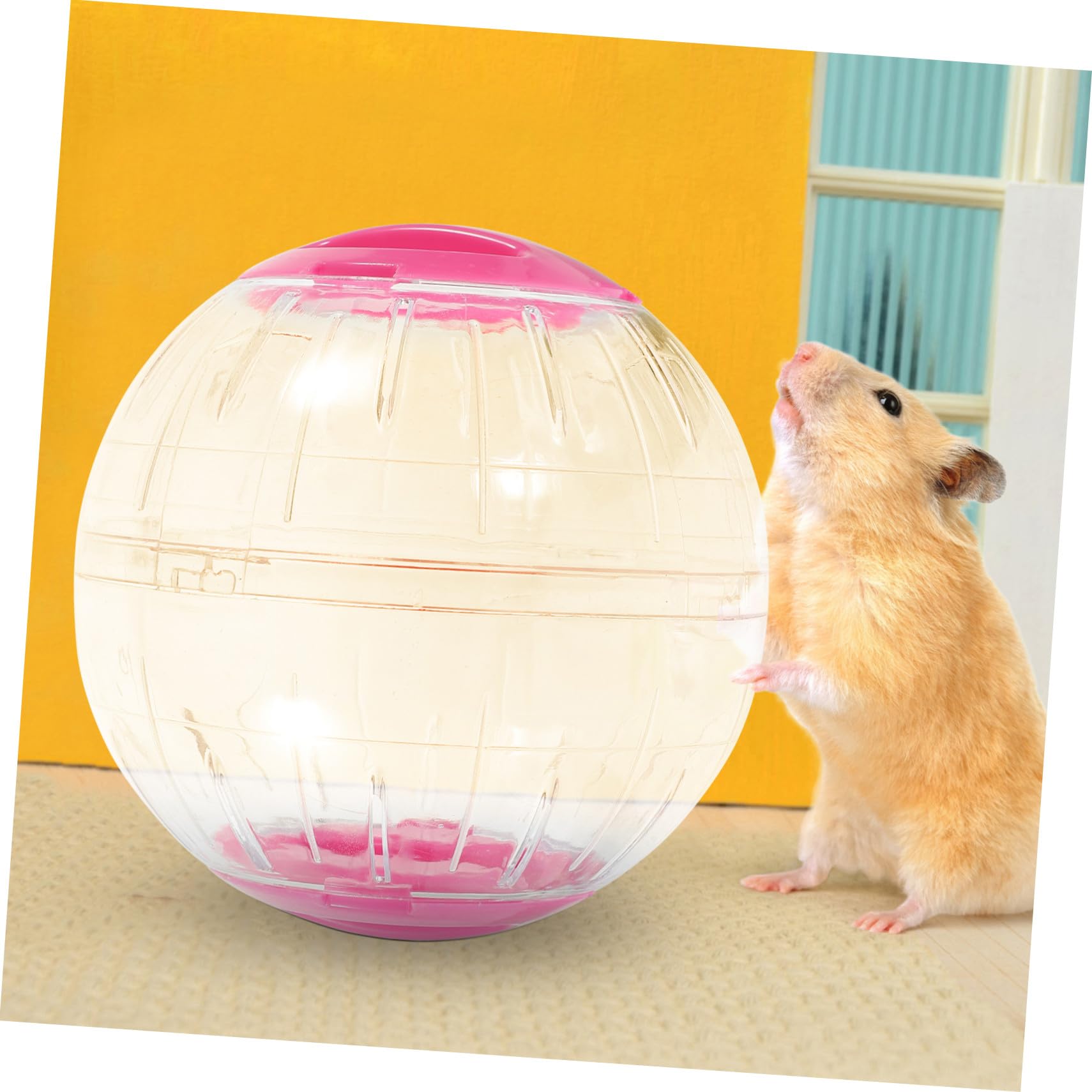 TOYANDONA 4 Piezas Pelotas de Ejercicio para Hámster Transparente y Silencioso Ruedas para Roedores y Animales Pequeños Accesorios Portátiles para Jaulas Fácil de Transportar y Supervisar