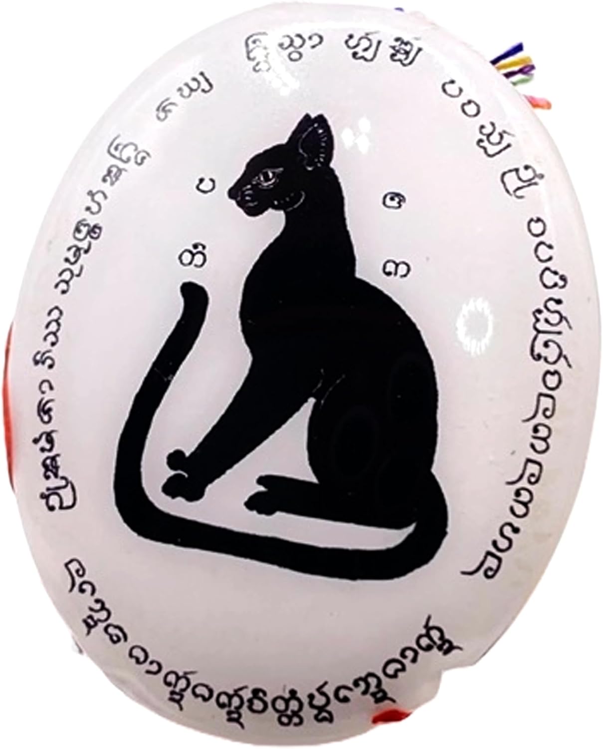 Thai Magic Black Cat Amulet Locket Chao Panti Wat Sirimangkhala BE 2568 Thai Lucky Charm