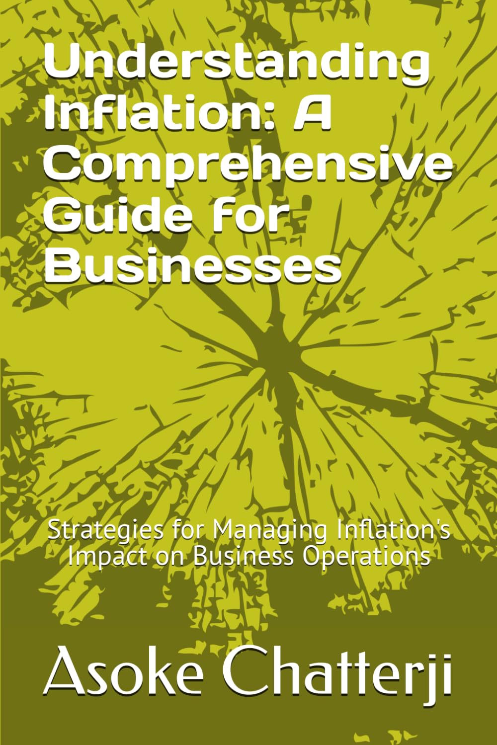 Understanding Inflation: A Comprehensive Guide for Businesses: Strategies for Managing Inflation's Impact on Business Operations (Interpreting Macroeconomic Parameters for Business Success)