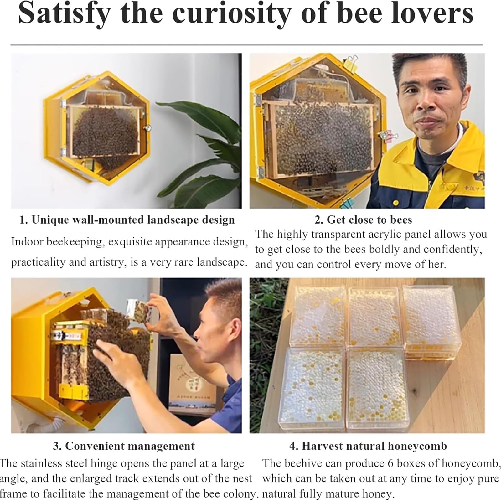 Bienenstock für den Innenbereich mit Auffangboxen zur Ernte von natürlichem Honig und einfacher Bienenkolonieverwaltung