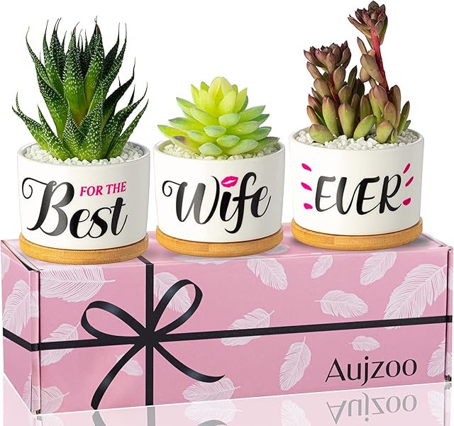 Aujzoo for Her Birthday Gifts for Wife Best Wife Ever Succulent Pots Creative Present for Wife Plant Pots Set with Beautiful Gift Box