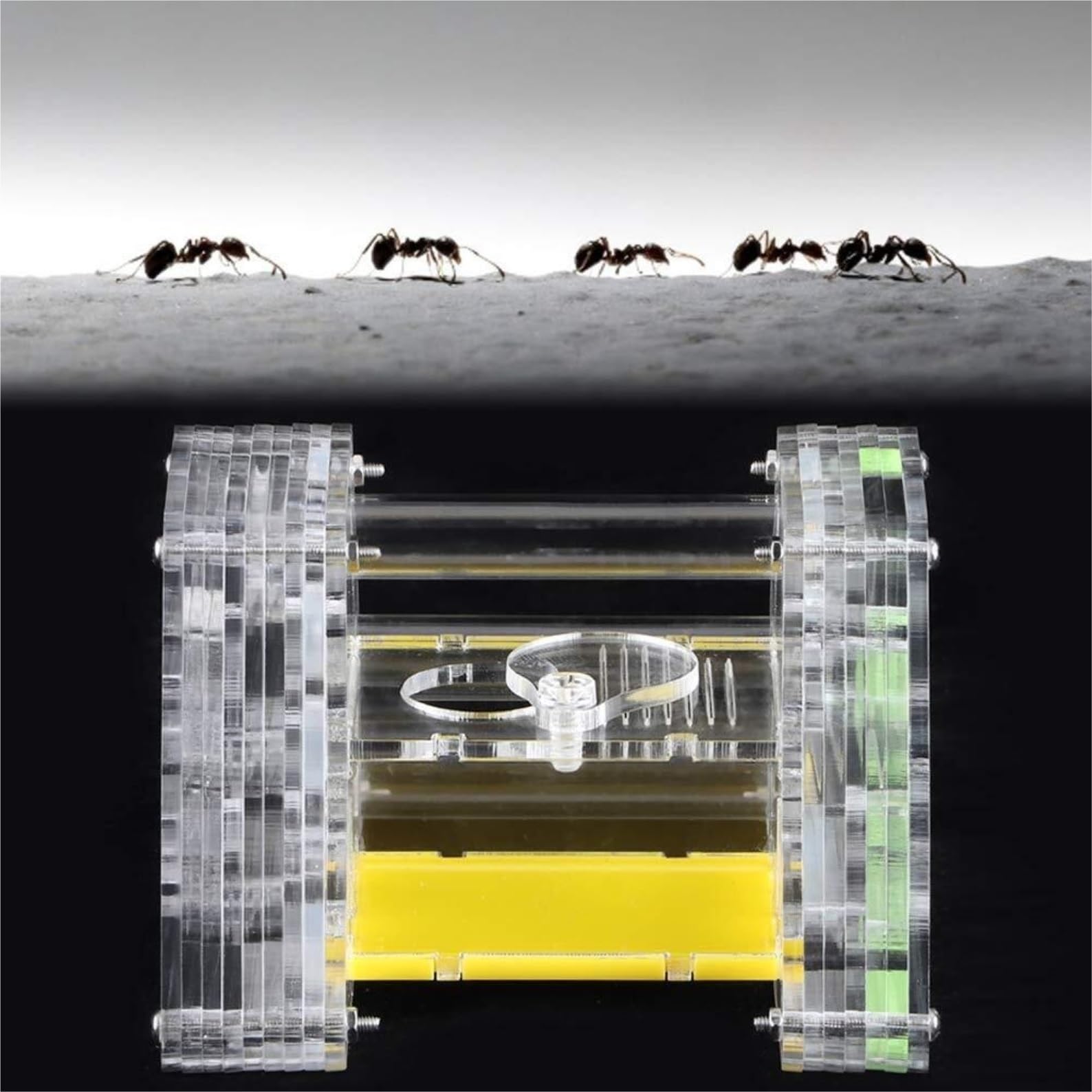 Formicarium Hormiga Nido De Alimentación De Hormigas, Nido De Alimentación De Hormigas De Acrílico Transparente, Caja De Vivienda Hidratante para Insectos para El Hogar Granja Hormigas