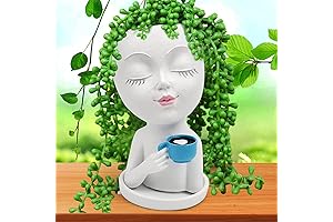 Ceramic Face Vase Planter: Unique-Shaped Flower Pots for Modern Home and Garden