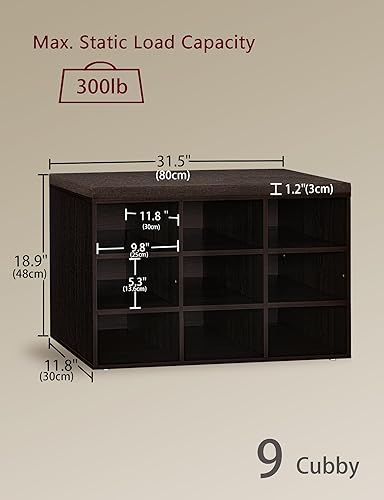 Miniatura 3 de DINZI LVJ Banco para zapatos, organizador de zapatos de 9 compartimentos para entrada, banco de almacenamiento con cojín, estante para zapatos