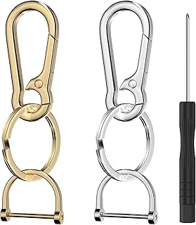 BFXM 2 Pack Keychain Rings for Car Keys, Metal Key Chain Holder with Detachable D-Ring, Carabiner Keychain Hook