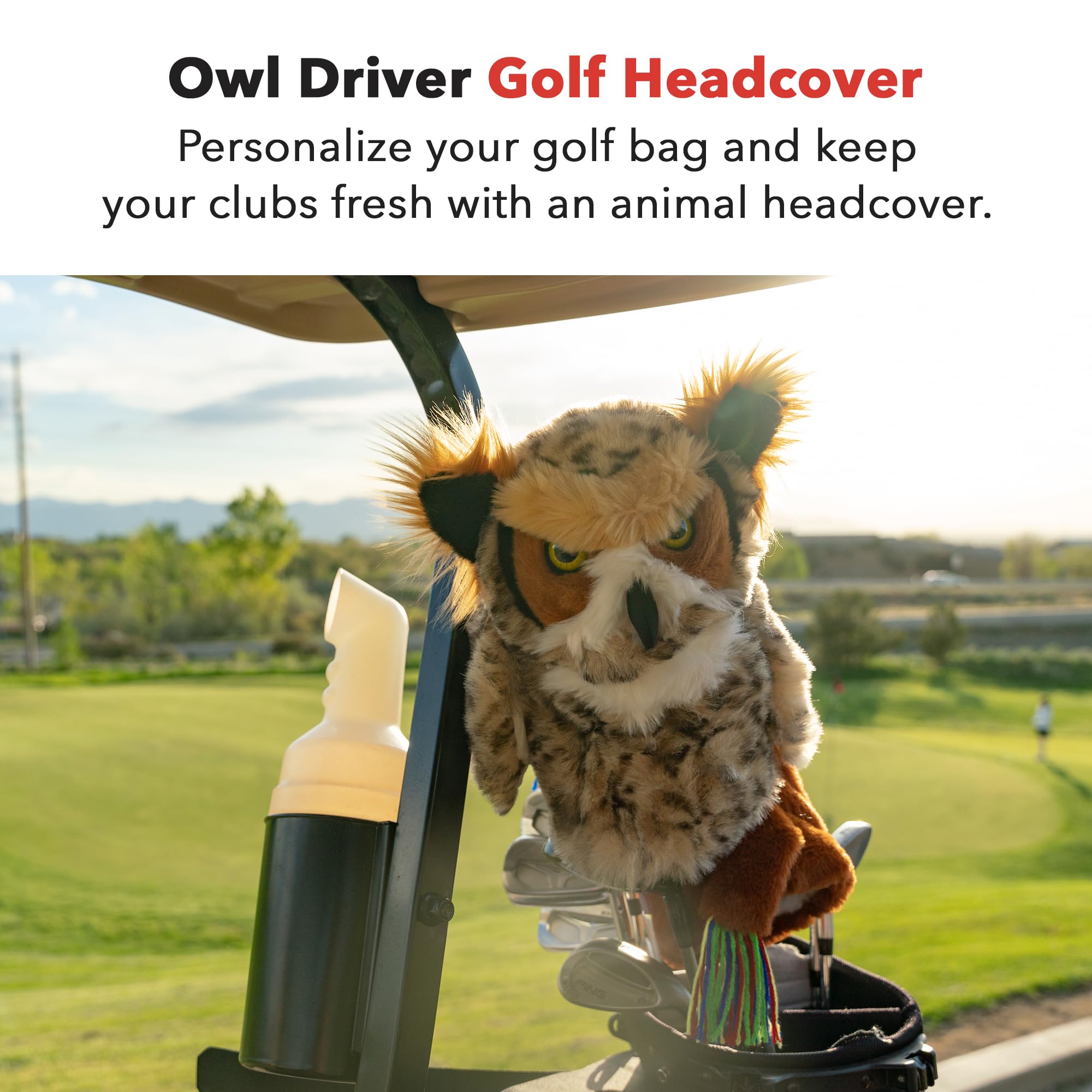 Daphne's Owl Copritesta Per Driver Golf Novità