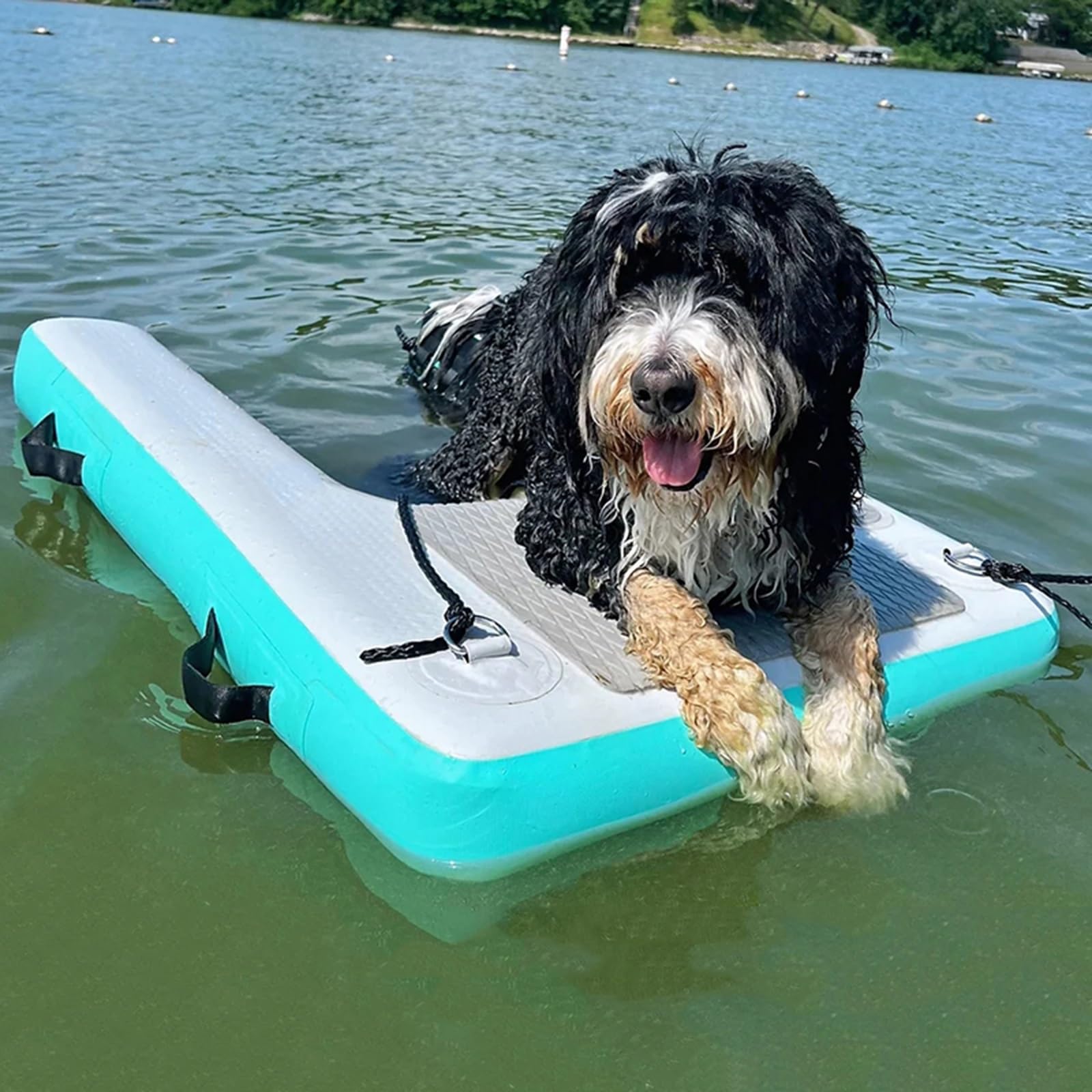 Échelle flottante piscine pour chien et rampe gonflable aquatique avec tapis EVA