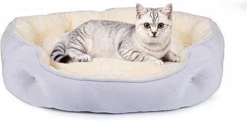 Miniatura 10 de Cama para perros pequeños de 20 x 19 x 6 pulgadas, cama ovalada lavable para interiores con parte inferior antideslizante y cojín extraíble, cama