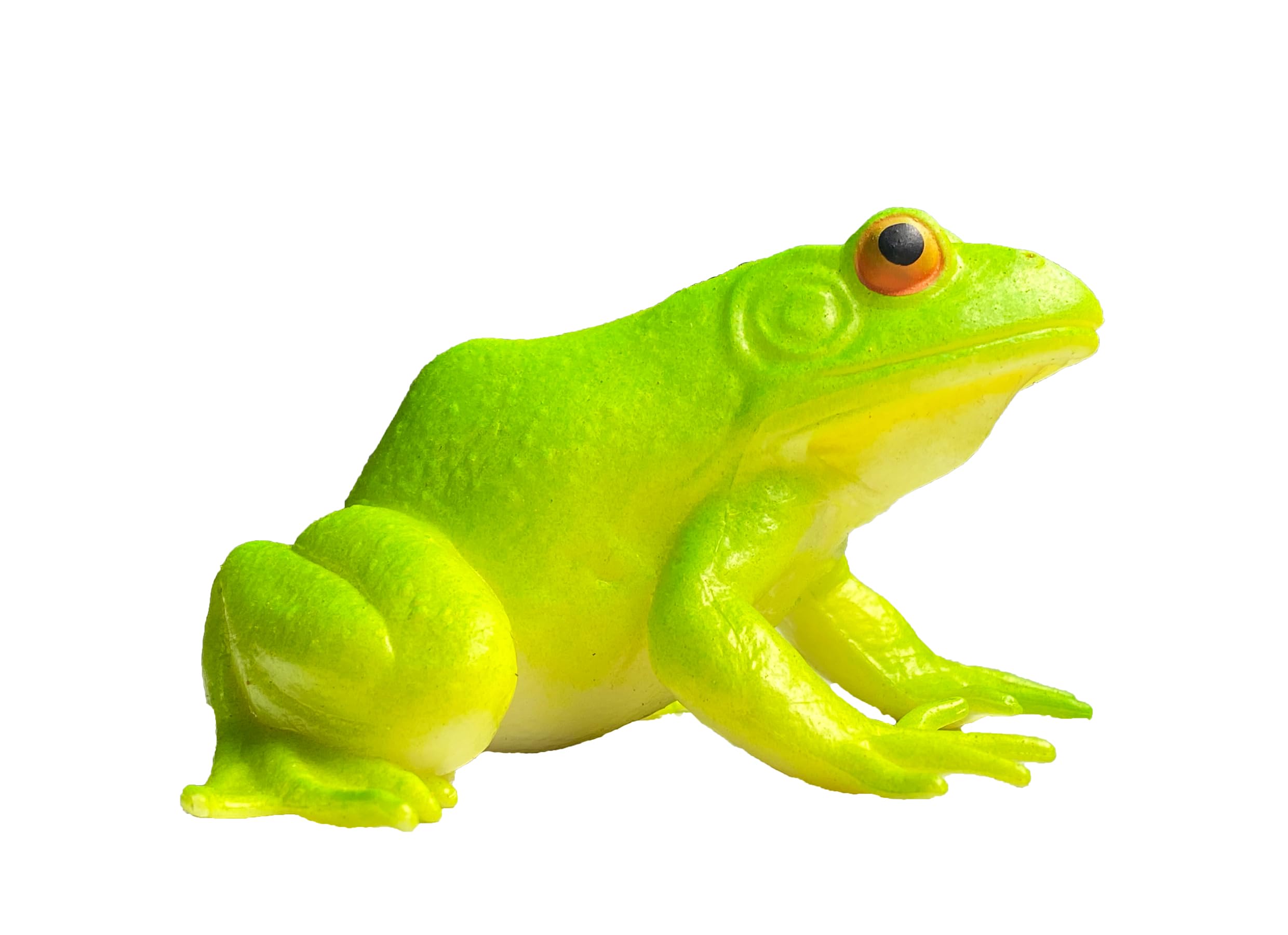MACMERISE Galaxy Toys Green Tree Frog (Hyla cinerea) - Realistic Bright Green Frog Toy with Smooth Skin