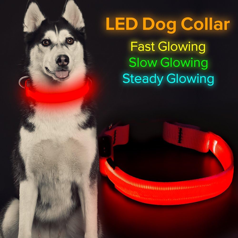 Flashseen LED Dog Collar, USB Rechargeable Glowing Pet Collar Night Safety LED Light Up Dog Cool Collars for Dogs with Nylon Webbing Perfect for Small, Medium, Large Dogs(Large Red)