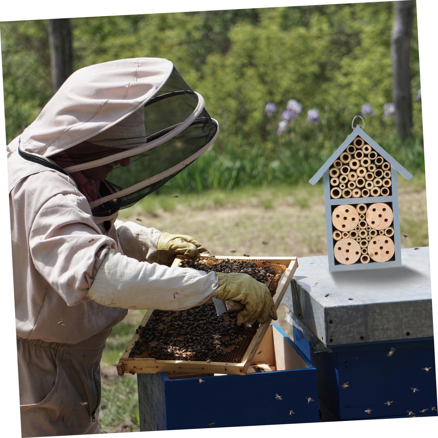 Holz Insektenhaus Garten Bienenhaus Nisthilfe Wildbienen Holzhaus Wetterfest für Outdoor Garten Deko Blau