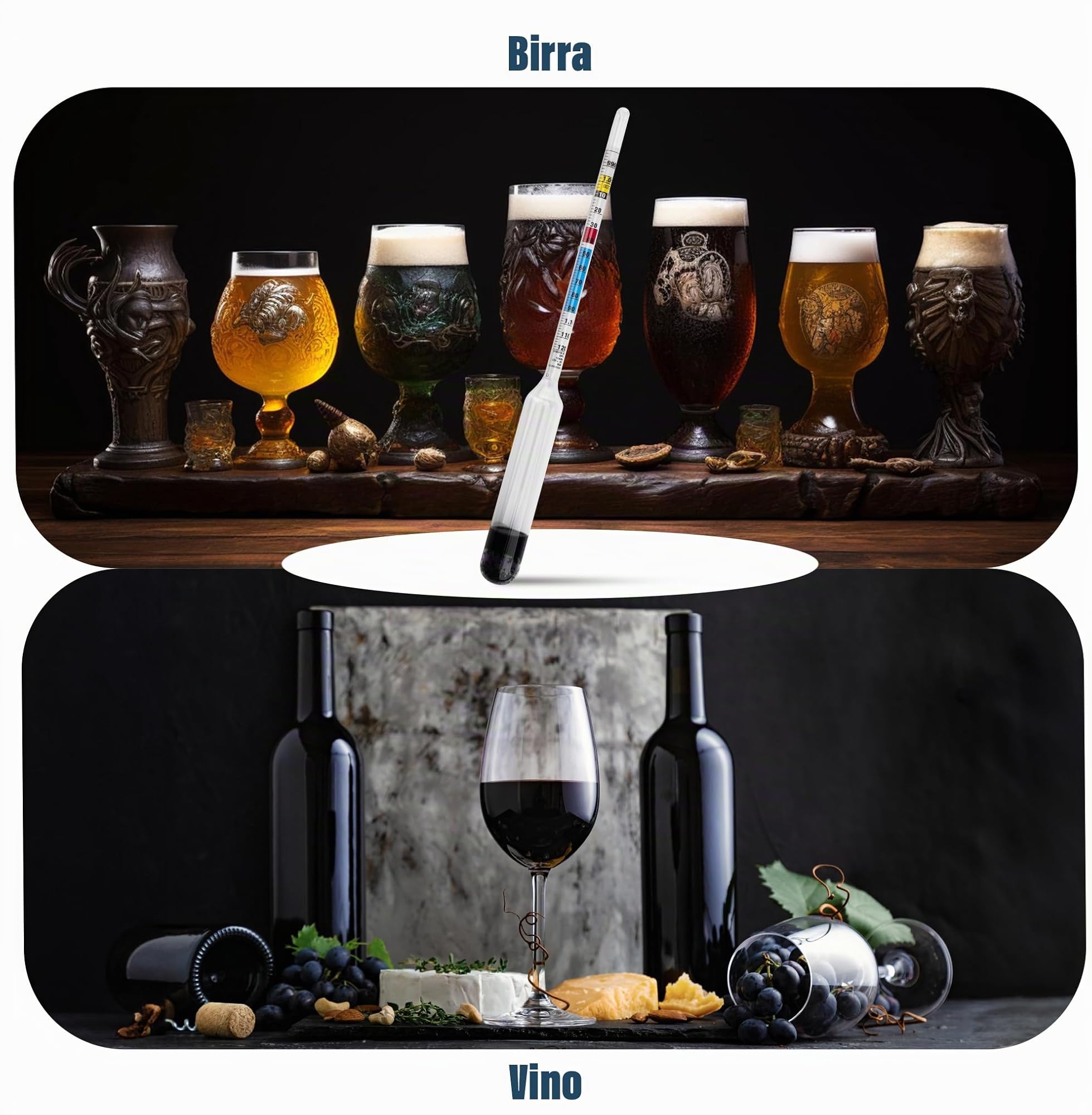 Idrometro per la Produzione di Birra Fatta in Casa con Contenitore di Campionamento di Prova da 100 millimetri incluso - Attrezzatura per la Produzione di Vino e Birra