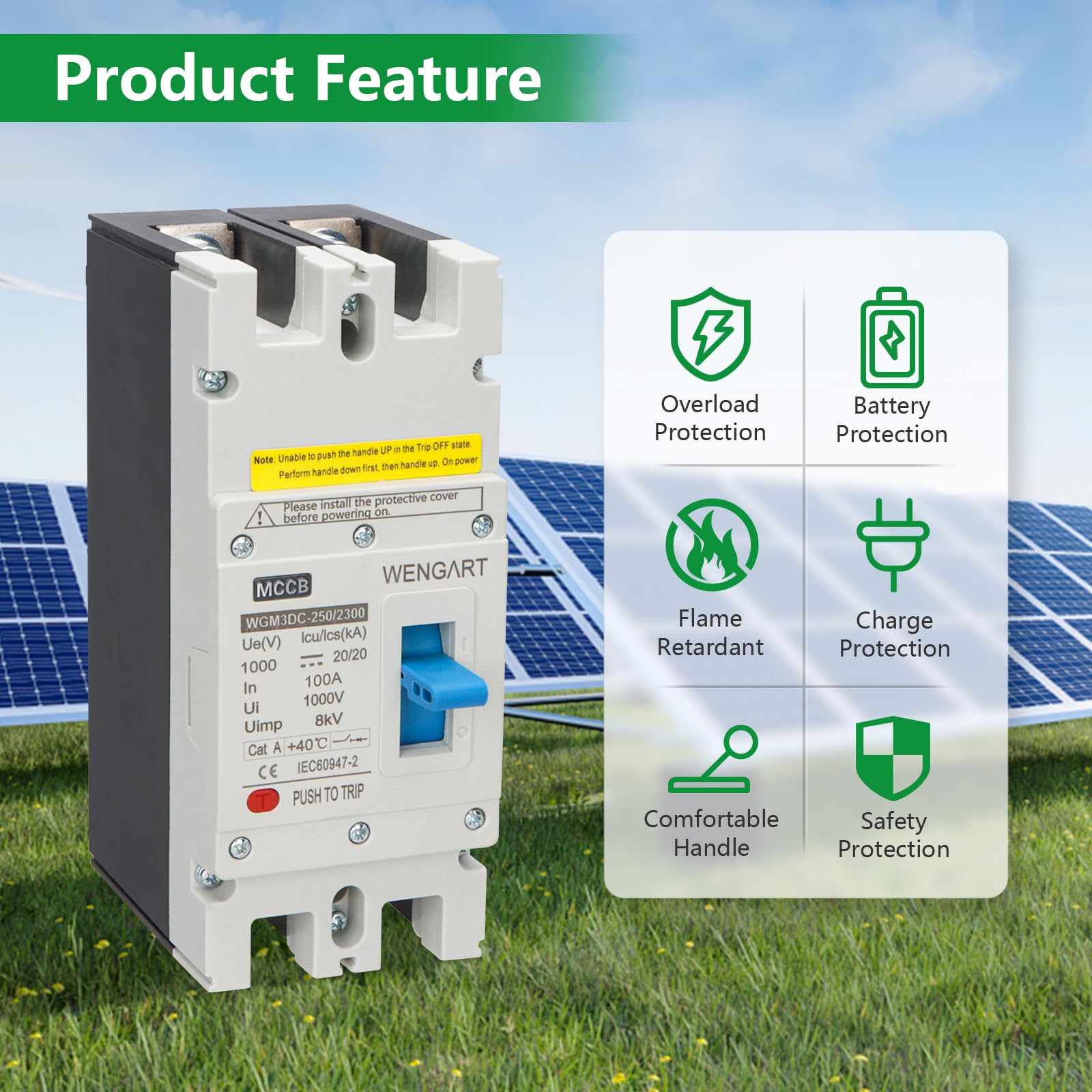 Wengart Interruttore Magnetotermico DC 1000V 100A 2P, Disgiuntore Scatolato MCCB per Fotovoltaico e Stazioni di Ricarica EV, Cablaggio a Polarità Libera, Protezione Impianto Solare, WGM3DC-250