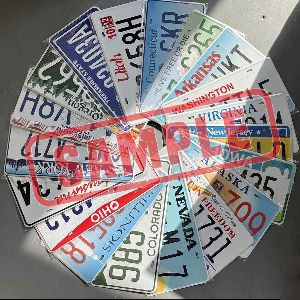 Amazon.com: Assorted Replica License Plates, Metal Car Plates  display picture 1