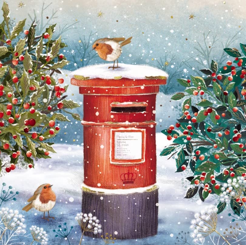 Woodmansterne Pack Of 5 Charity Christmas Greeting Cards Of 1 Design