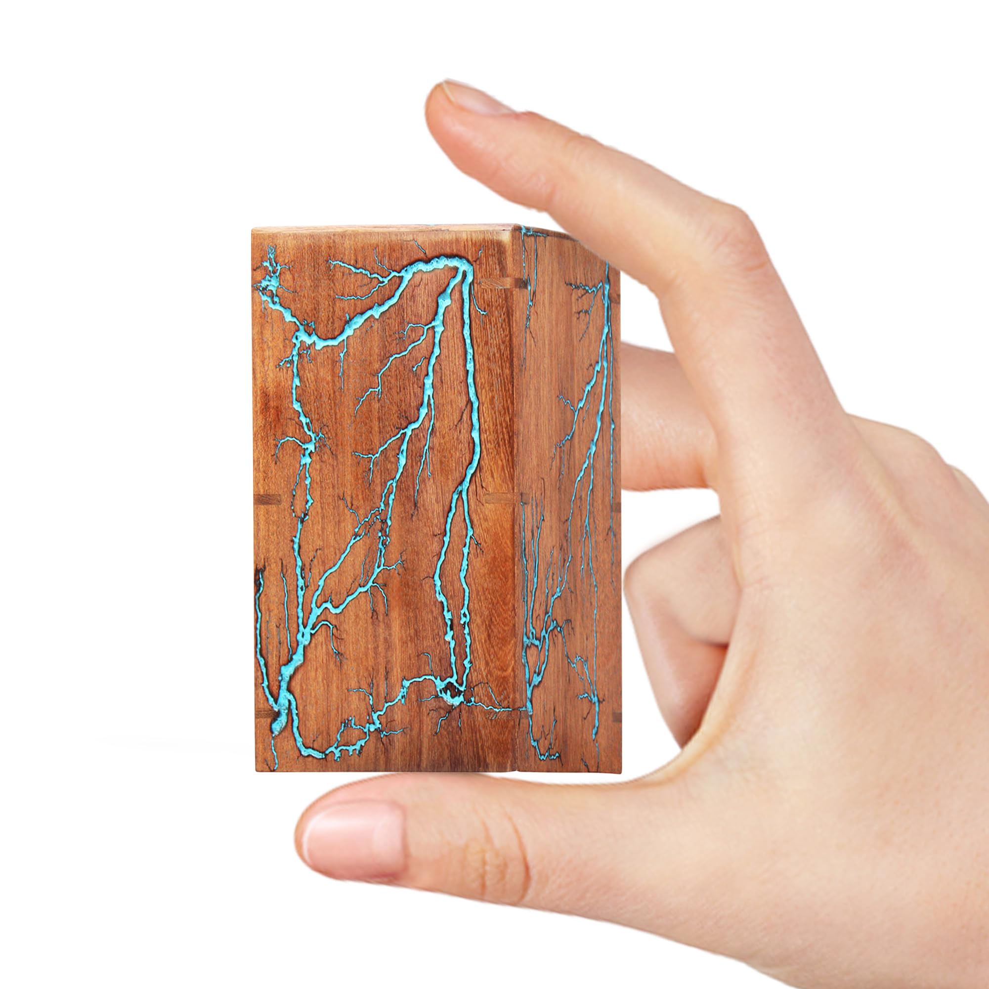 Urnas para cenizas de cremación, urnas para adultos, urnas de madera para cenizas adultos y machos, urna decorativa pequeña para hombres y mujeres (modelo 4, recuerdo)