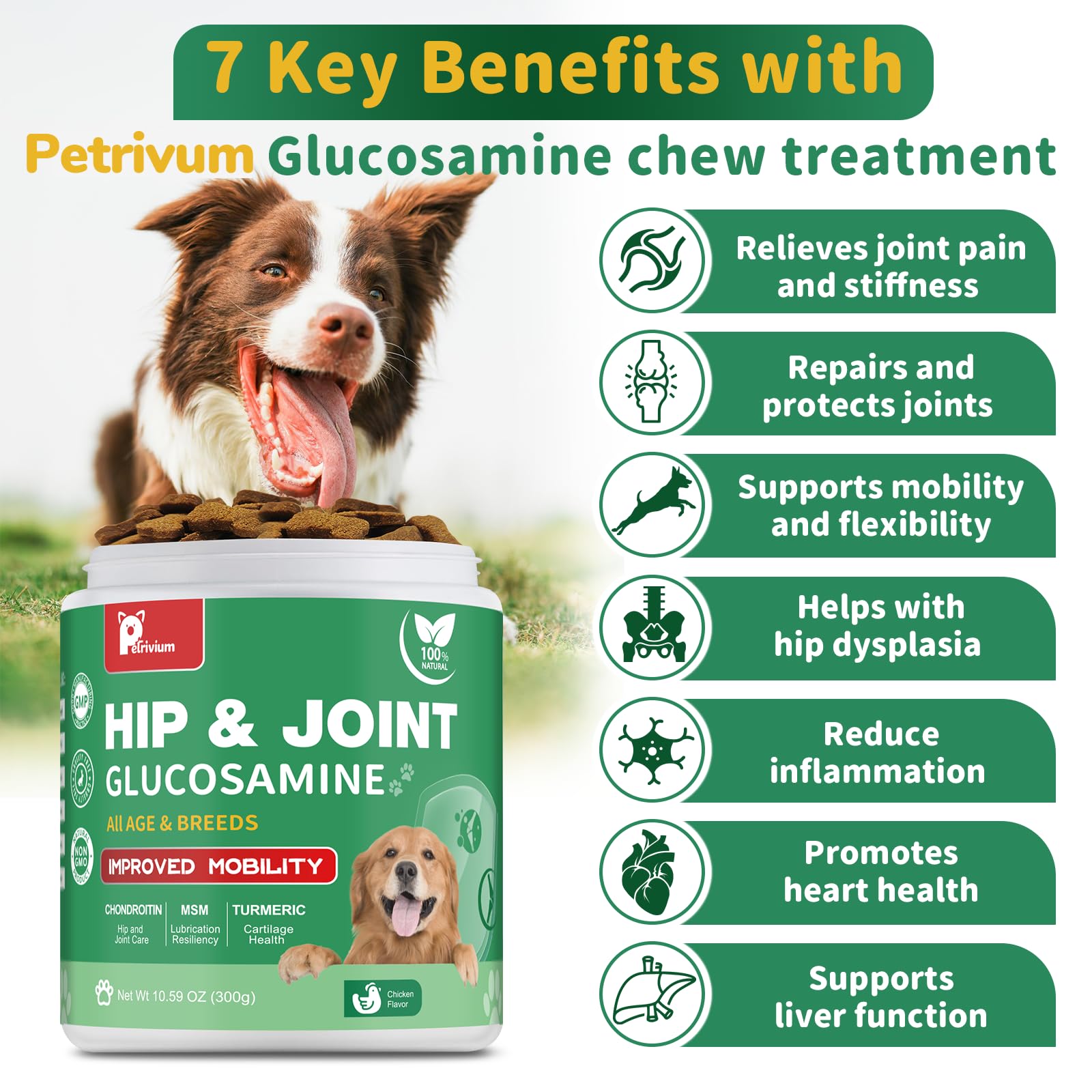 Hip and Joint Supplement for Dogs, Glucosamine Treats Chews with Chondroitin, MSM, Turmeric - Support Joint Pain Relief, Mobility, Reduce Occasional Discomfort, Fit All Ages and Breeds, 150 Soft Chew - image 2