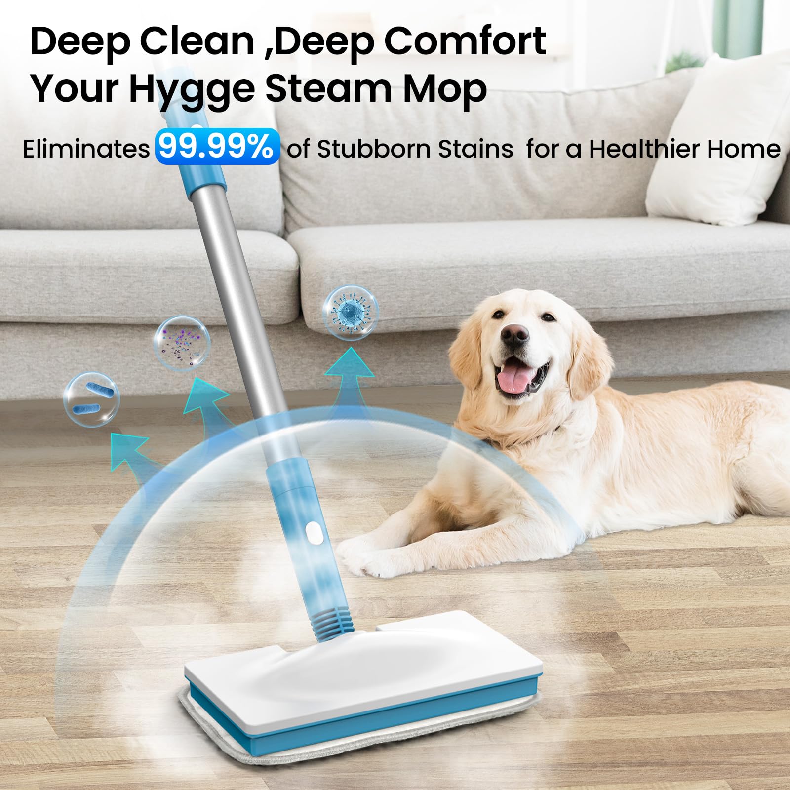 Amazon.com - Czlife Z7 Steam Mop for Floor Cleaning, 13-in-1