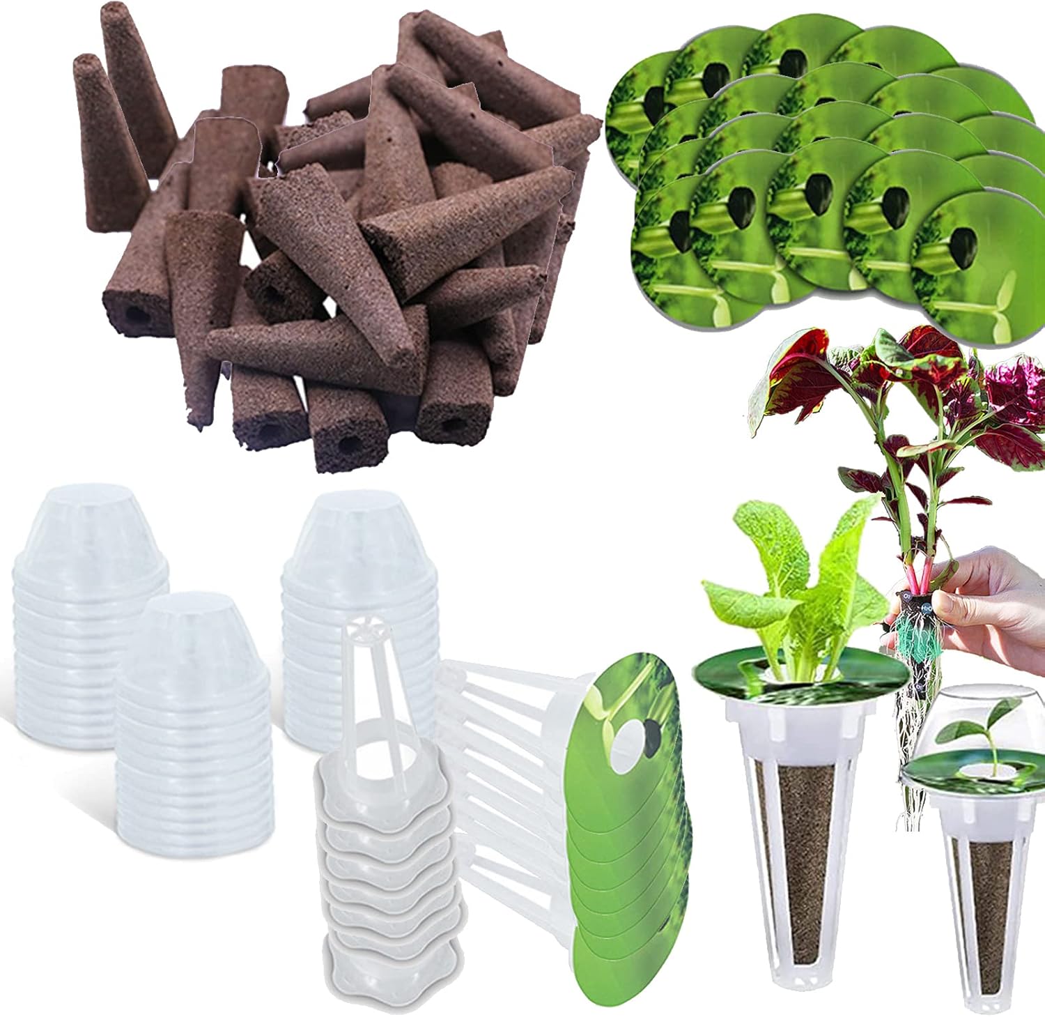 Spugne Idroponiche Per Coltivazione - 30 Pezzi Con Cestini, Per Germinazione, Biodegradabili