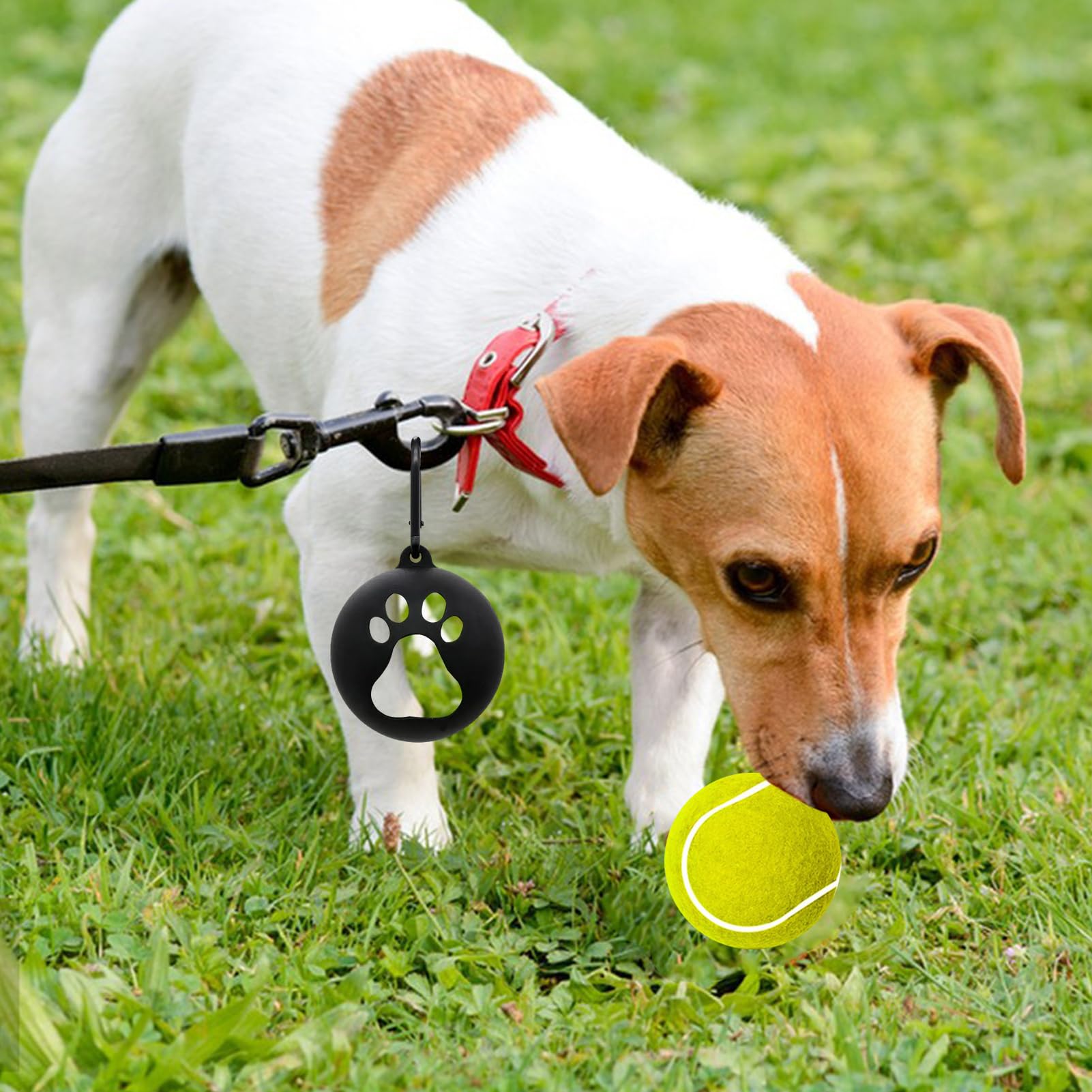 Soporte De Pelota De Tenis Para Perros - Soporte De Pelota De Tenis De Silicona De 2.55-2.67 Pulgadas | Juguetes Portátiles Para Perros, Herramientas De Entrenamiento Ligeras Para Cachorros