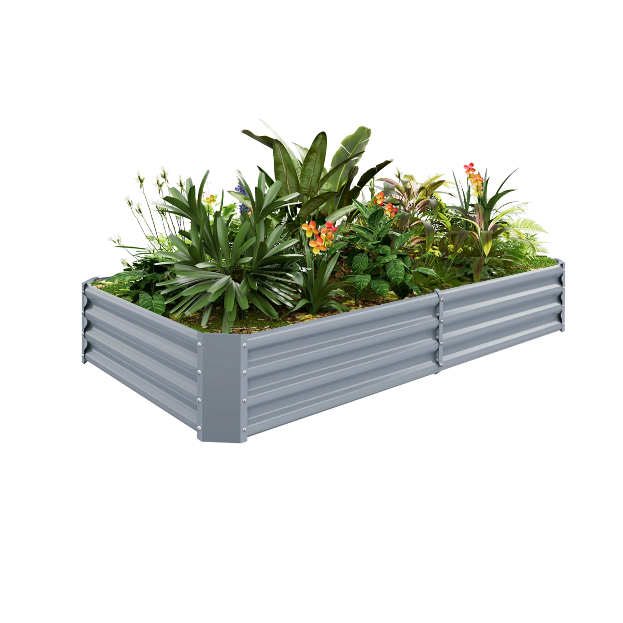 product_img5