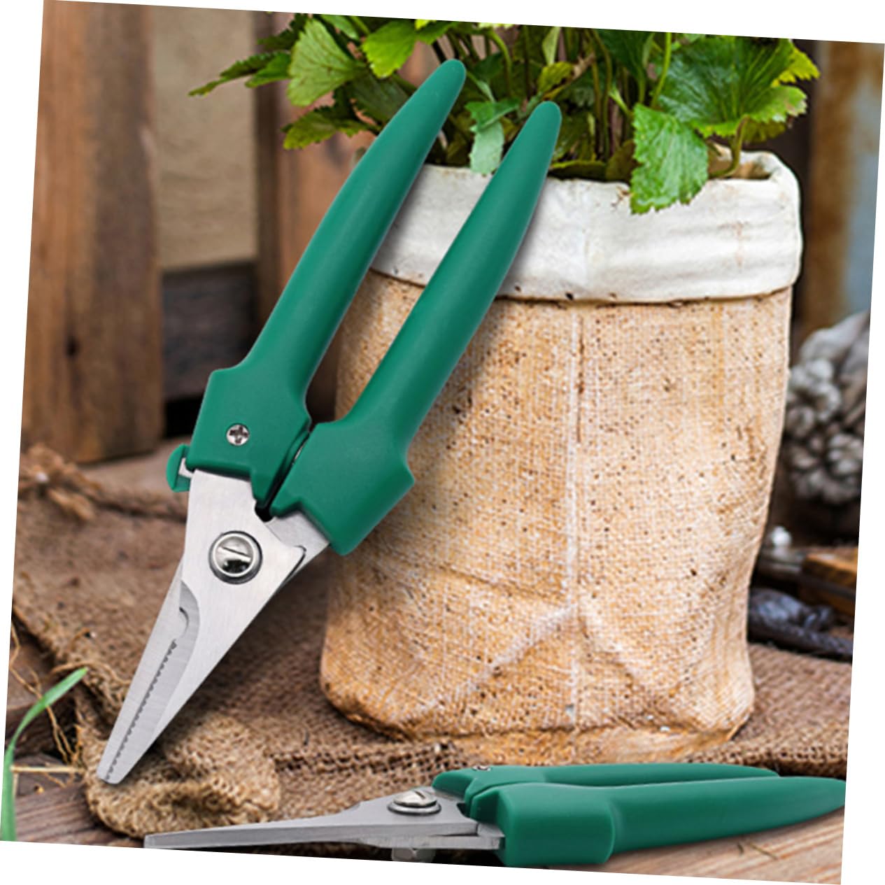 ifundom 3stücke Gartenschneider Professionelle Pflanzenschneider Für Präzises Trimmen Von Und Pflanzen Rostfrei Ergonomischer Griff Für Gartenarbeiten Und