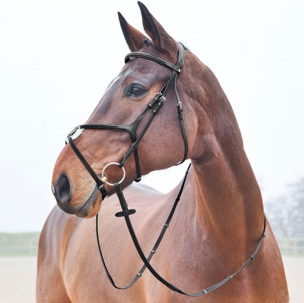 HORZE Prescott Figure 8 Bridle