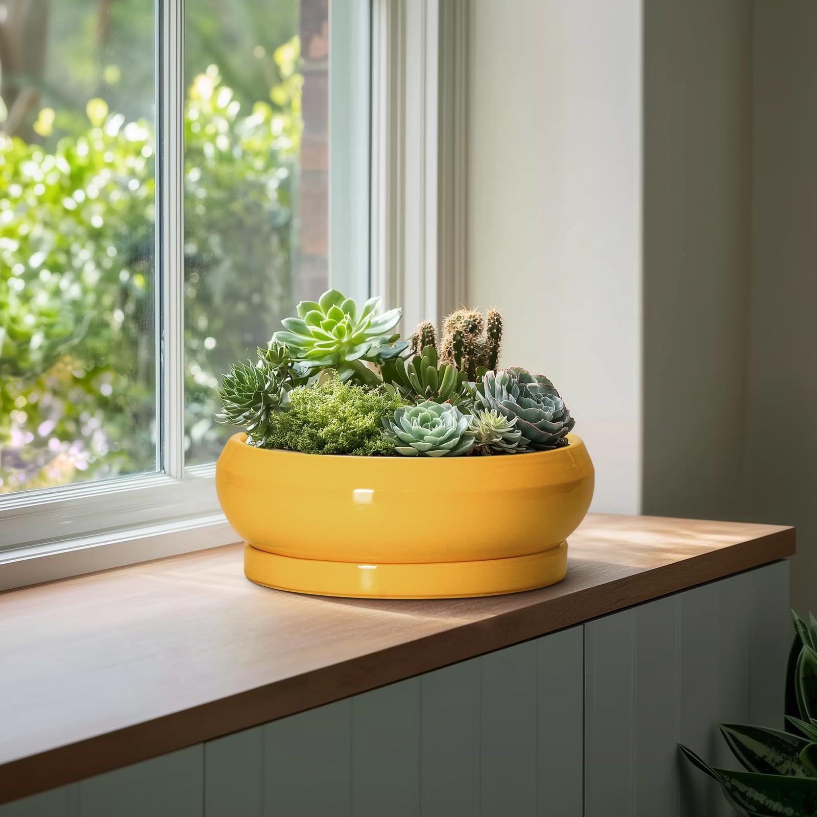 Bonsai-Töpfe aus Keramik, 33 cm, große Sukkulententententöpfe mit Ablaufloch und Untersetzer, Bonsai-Pflanzgefäß für drinnen und draußen, runde Flache Schale, Pflanzgefäß