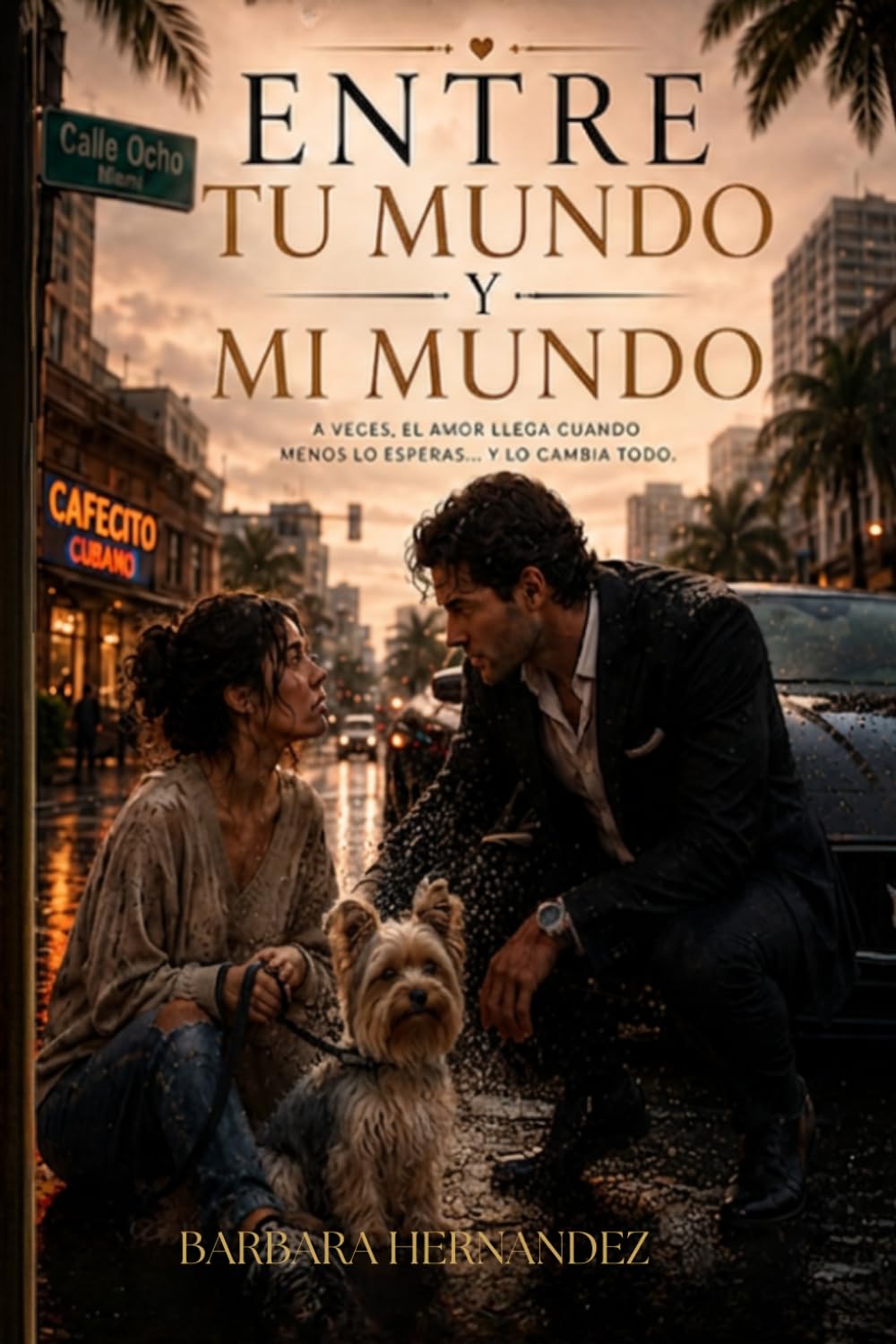 ENTRE TU MUNDO Y MI MUNDO