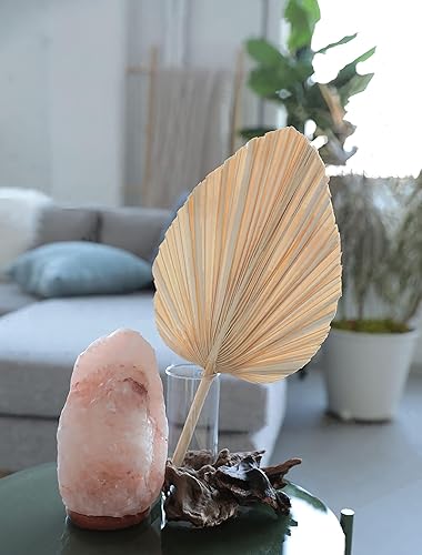 Miniatura 8 de 16 hojas de palma secas grandes de 18 x 10 pulgadas lanza de palma seca decoración de boda bohemia para el hogar decoración de boda tropical