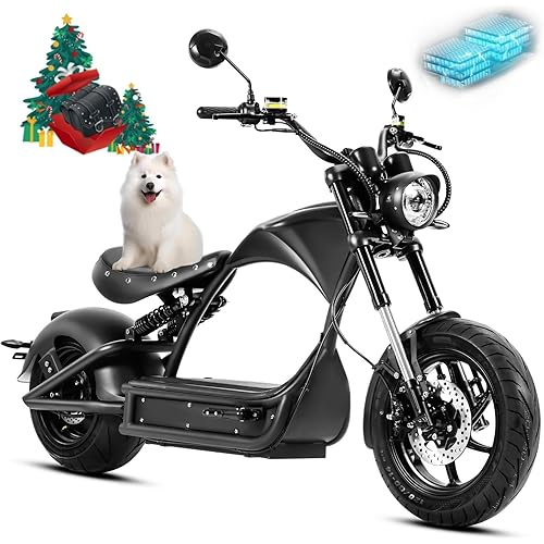 eAhora 4000W M1P Pro (2025 Upgraded) Electric Motorcycle for Adults, 50MPH 55 Miles Range, 60V 42Ah Battery, Dual Suspension Dual Hydraulic Brakes,Street Legal