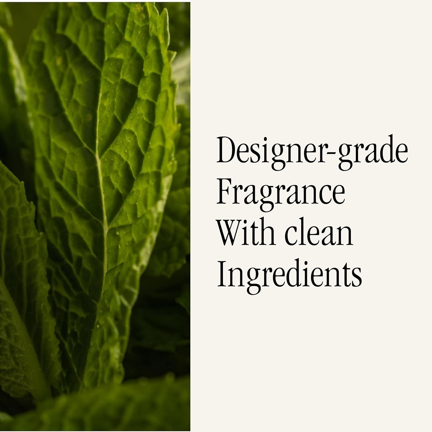 Pura and Allos - Fragrance Refill for Smart Home Air Diffusers - Aromatherapy Scents for Home - up to 120-Hours of Premium Fragrance per Vial - 2 Pack - Mint Leaves (Focus)