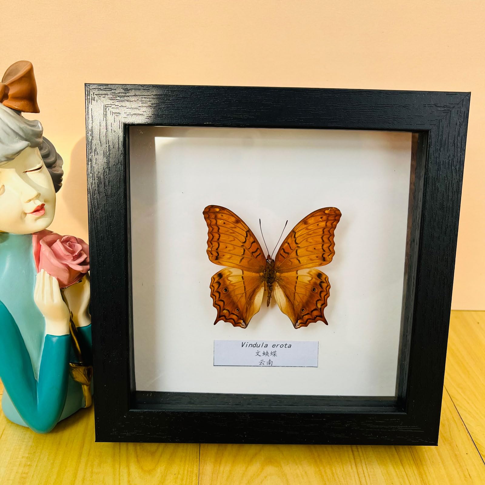 Taxidermy Mounted In Frame,Exquisite Butterflies Insect Specimen,Collection Of Butterfly,Unique Home Decor Wall Decoration Gift For Christmas Valentine Birthday,Real Butterfly Specimens17.6*17.6cm