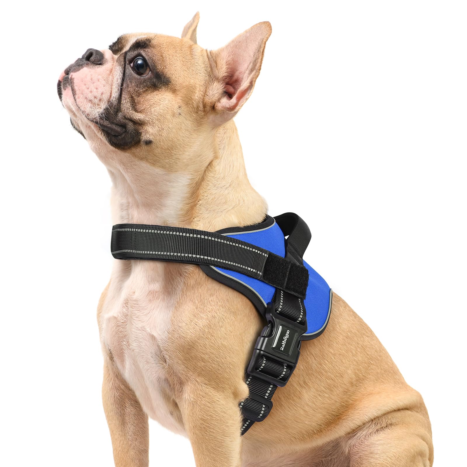rabbitgoo Dog Harness Small Sized in Blue