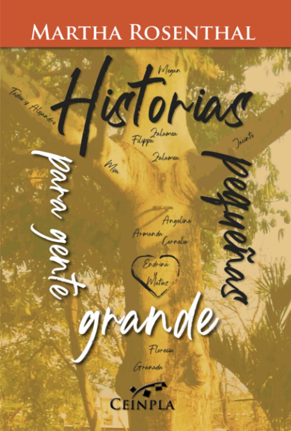 Historias Pequeñas Para Gente Grande