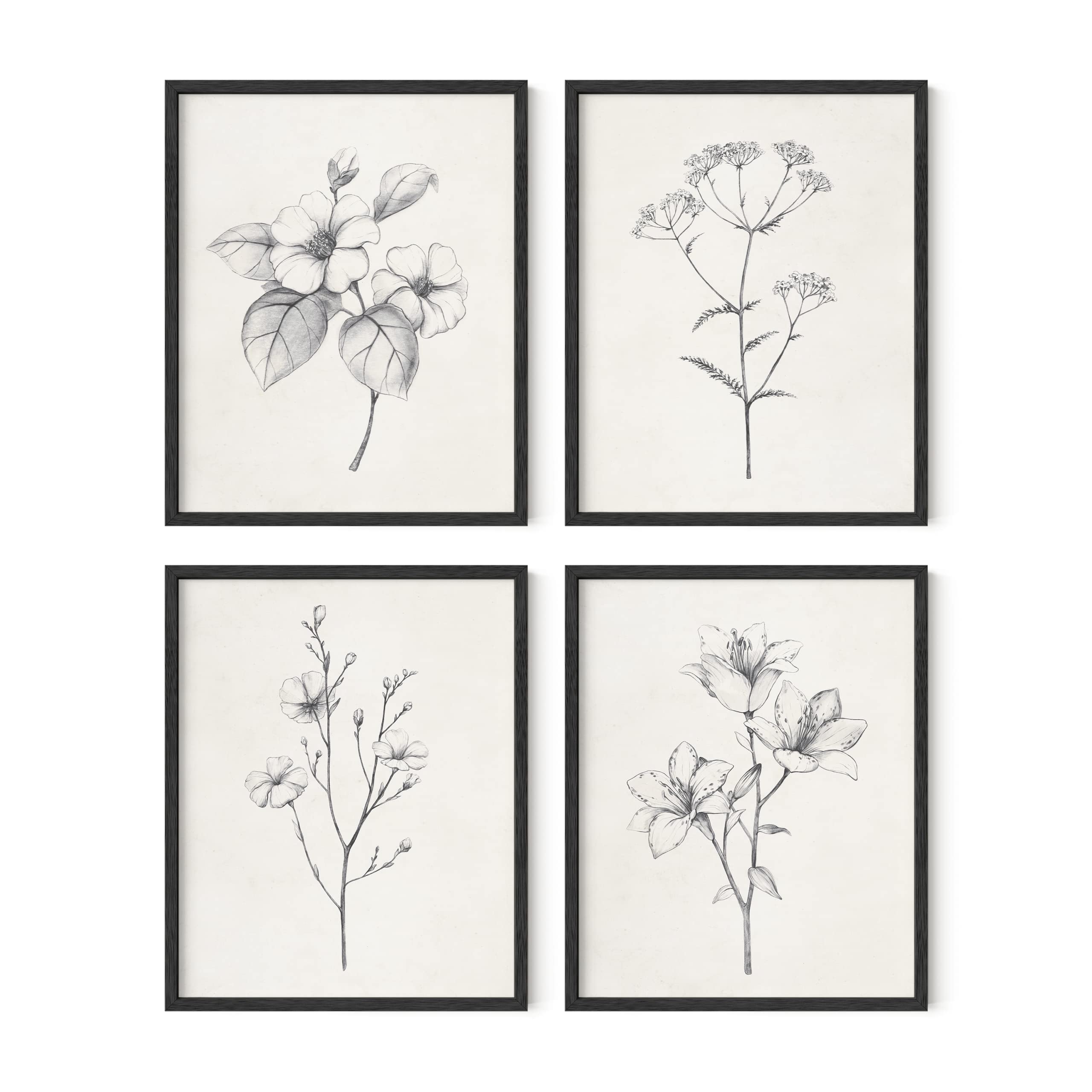 HAUS AND HUES Grey Floral Wall Art - Set of 4 Plant Posters for Wall Vintage, Botanical Prints, Black and White Flower Pictures for Room Aesthetic,