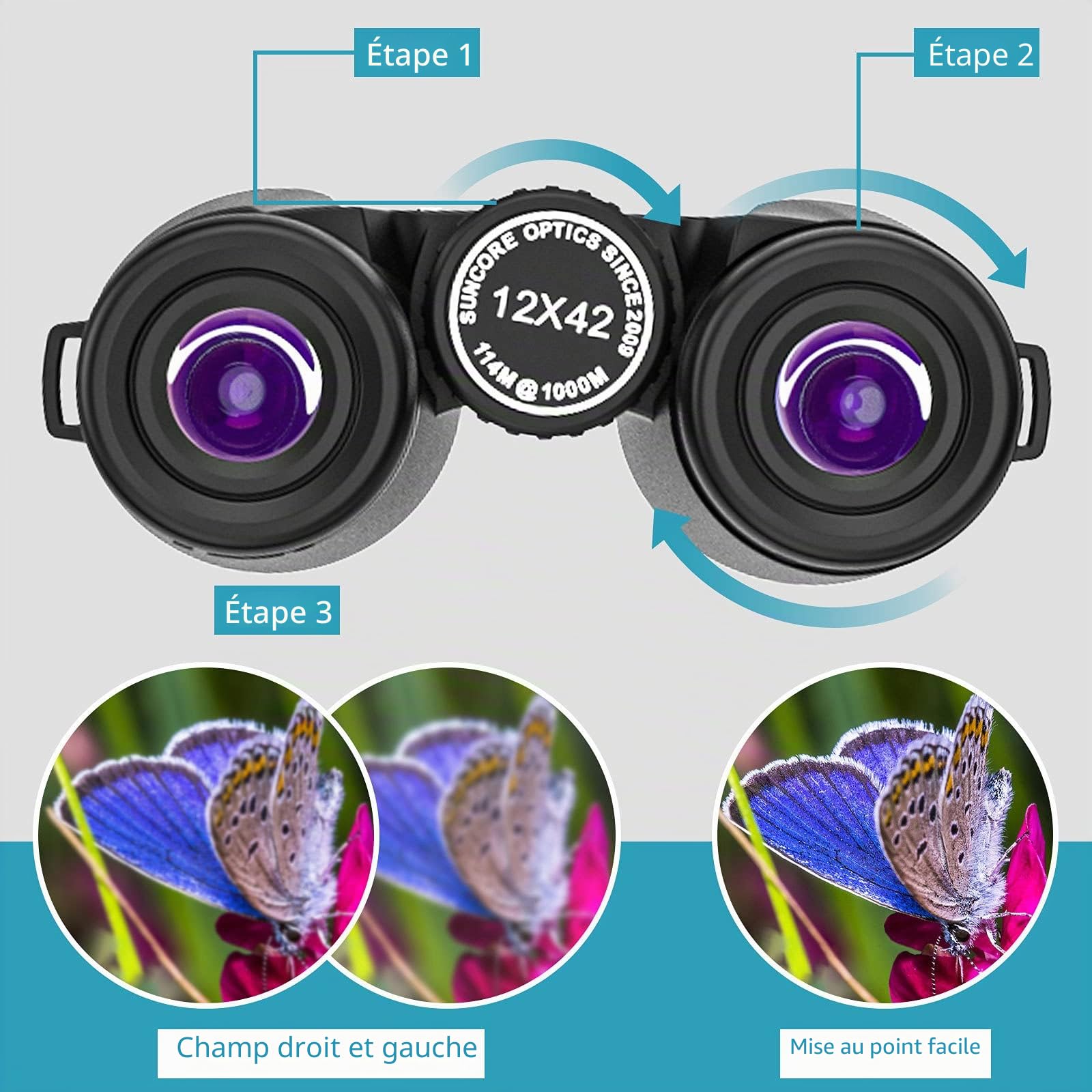 12 x 42 Jumelle,Jumelles Adultes Puissante, Jumelles Professionnelles HD pour Observation des Oiseaux et Etoiles, Voyages, Chasse et Sport de Vue avec Adaptateur pour Téléphone