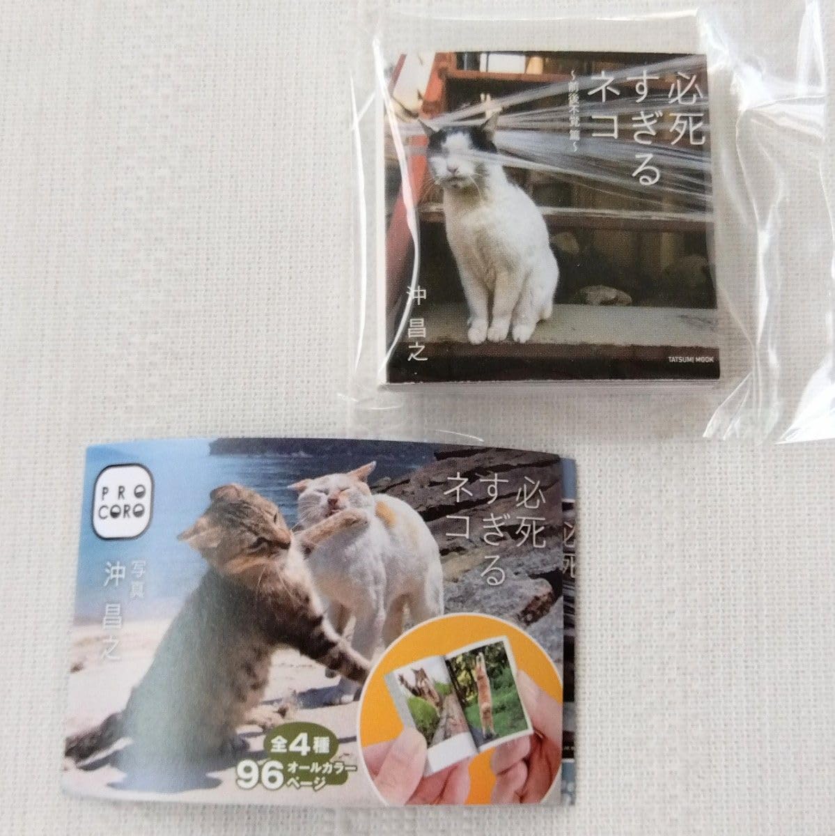 Amazon.co.jp: 必死すぎるネコ 前後不覚篇 写真沖昌之 ガチャ 豆本