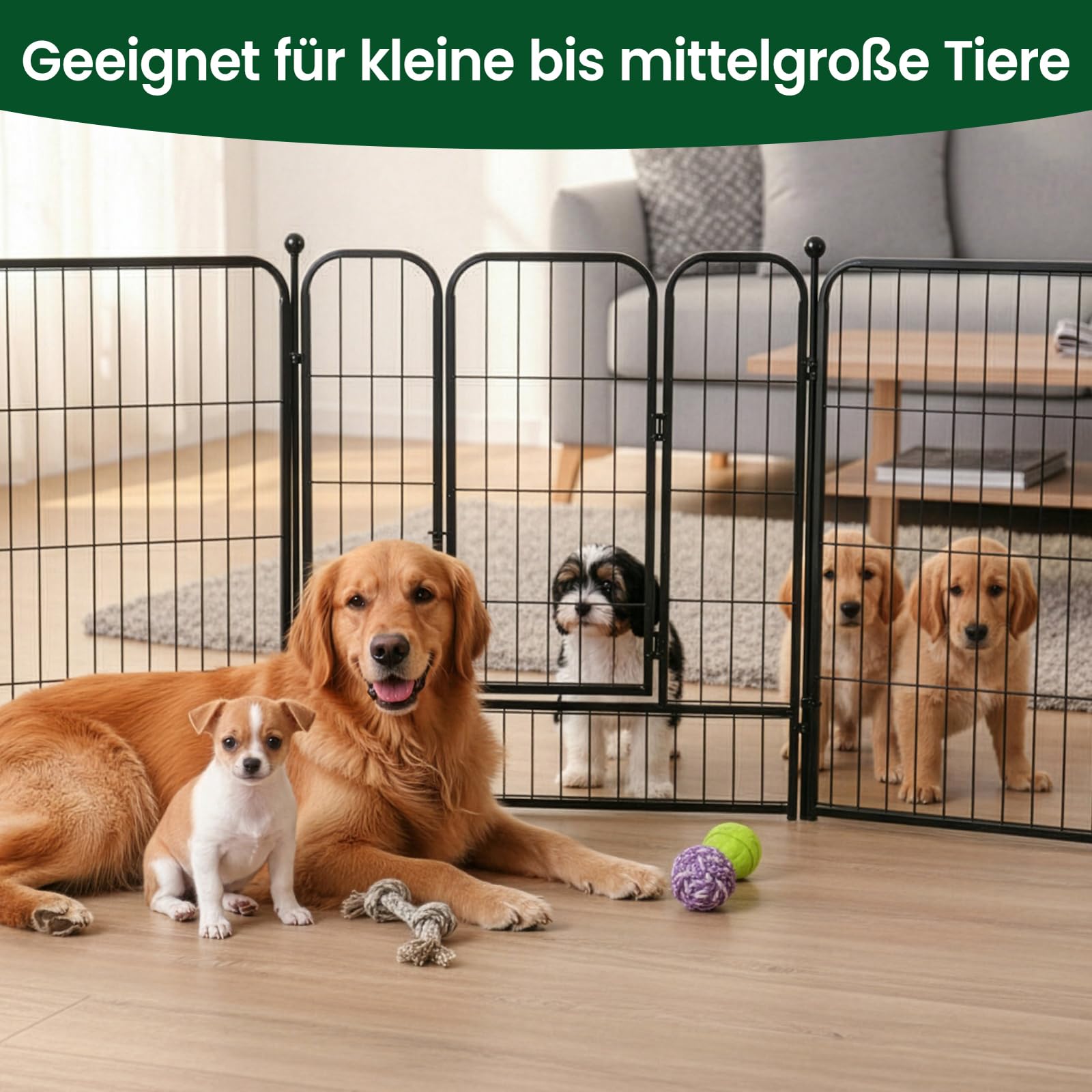Trintion Welpenauslauf Hundelaufstall mit Einhand-Sicherheitsschloss, stabiles faltbares Hundegitter aus Metall für Welpen & Hunde, modularer Hundelaufstall für Innen & Außen (8PCS+80CM)