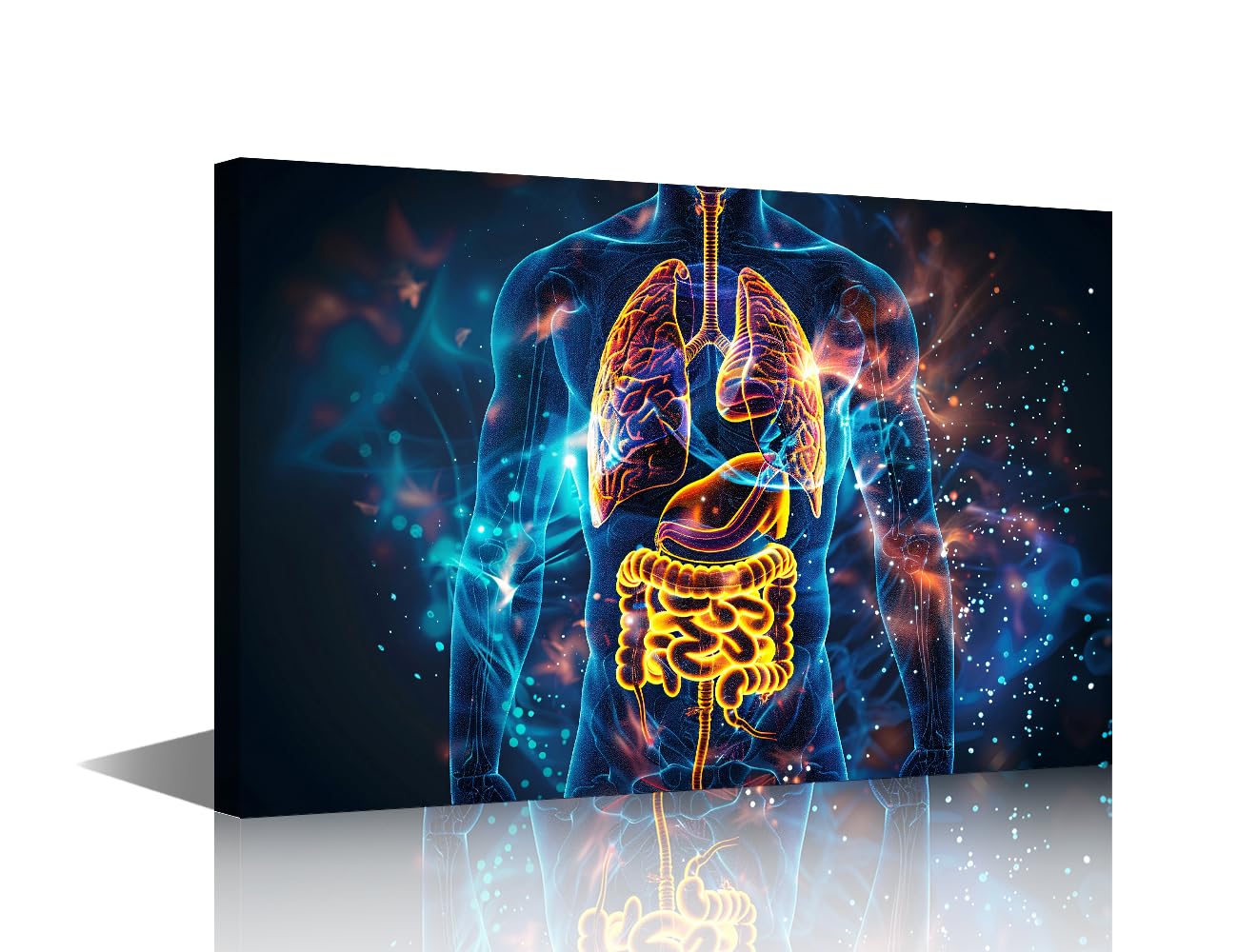 Person with A Body Pain Canvas Wall Art for Doctor's Office X-ray Room Decor Body Pain Painting Canvas Prints Artwork Wall Decor Framed Wall Art Ready to Hang 12"Wx 18"H