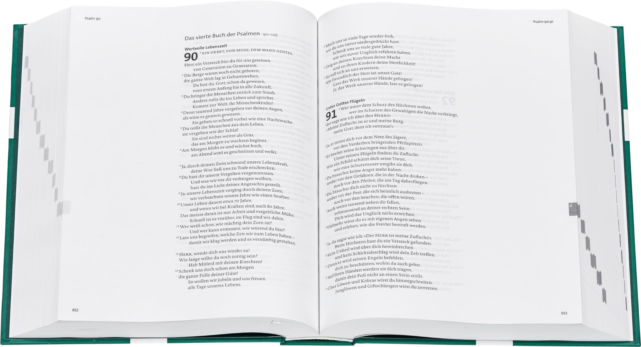 BasisBibel. Die Kompakte. Schreibrand