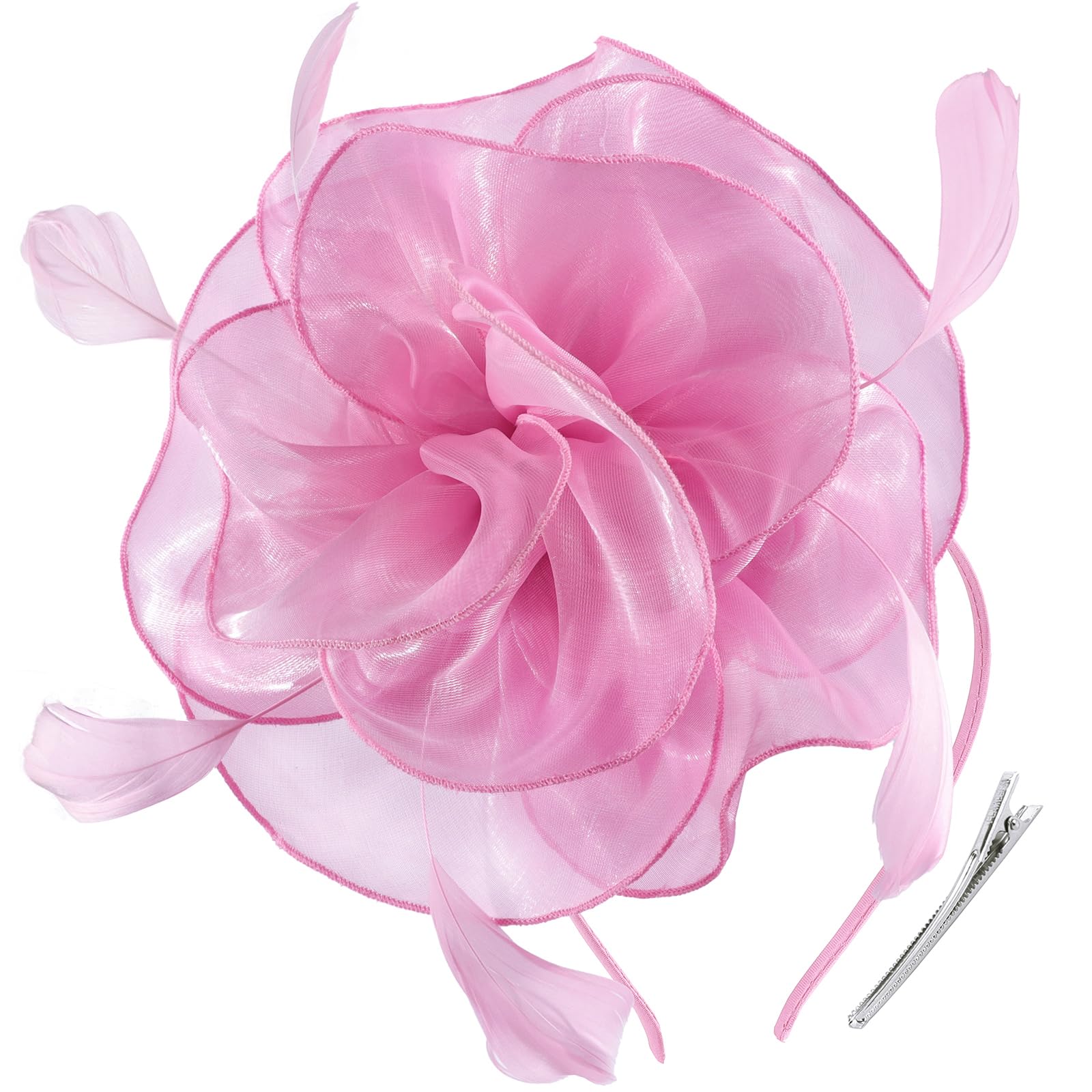 DRESHOW Fascinators Hat Tea Party Headwear Ribbons Feathers on a Headband and a Clip for Women