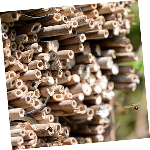 Miniatura 5 de Toddmomy 150 piezas de tubo de abeja de masón, tubos de abeja, suministros de tubo de abeja, insertos de papel de abeja, sustituto de café, prueba