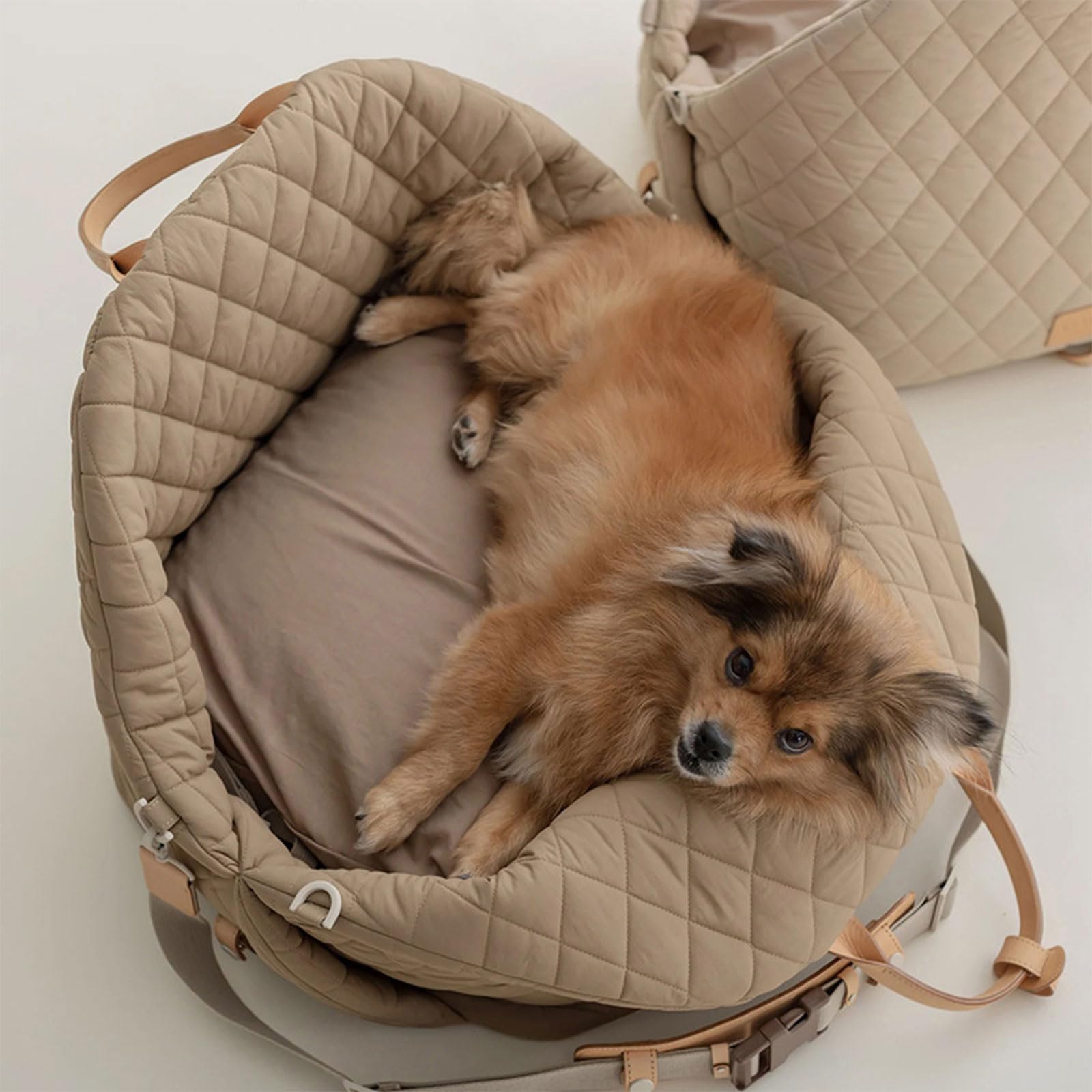 Grande borsa per gatti per cani o animali domestici, borsa per animali domestici, per viaggi all'aperto, per viaggi turistici, design da viaggio all'aperto, borsa per animali domestici per cani