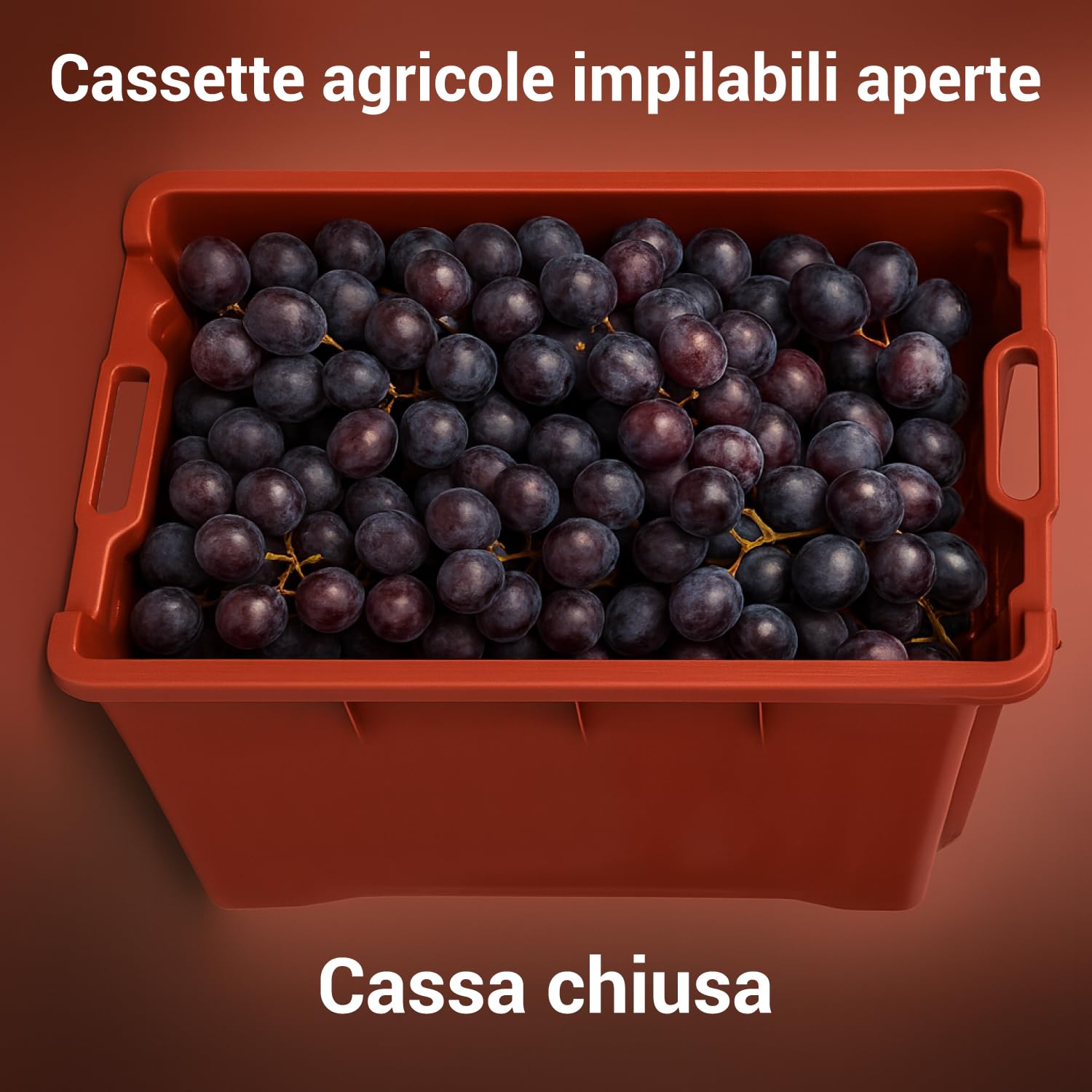 Crisalide Cassette Agricole Impilabili 40 L Plastica Alimentare 56x35x31 cm