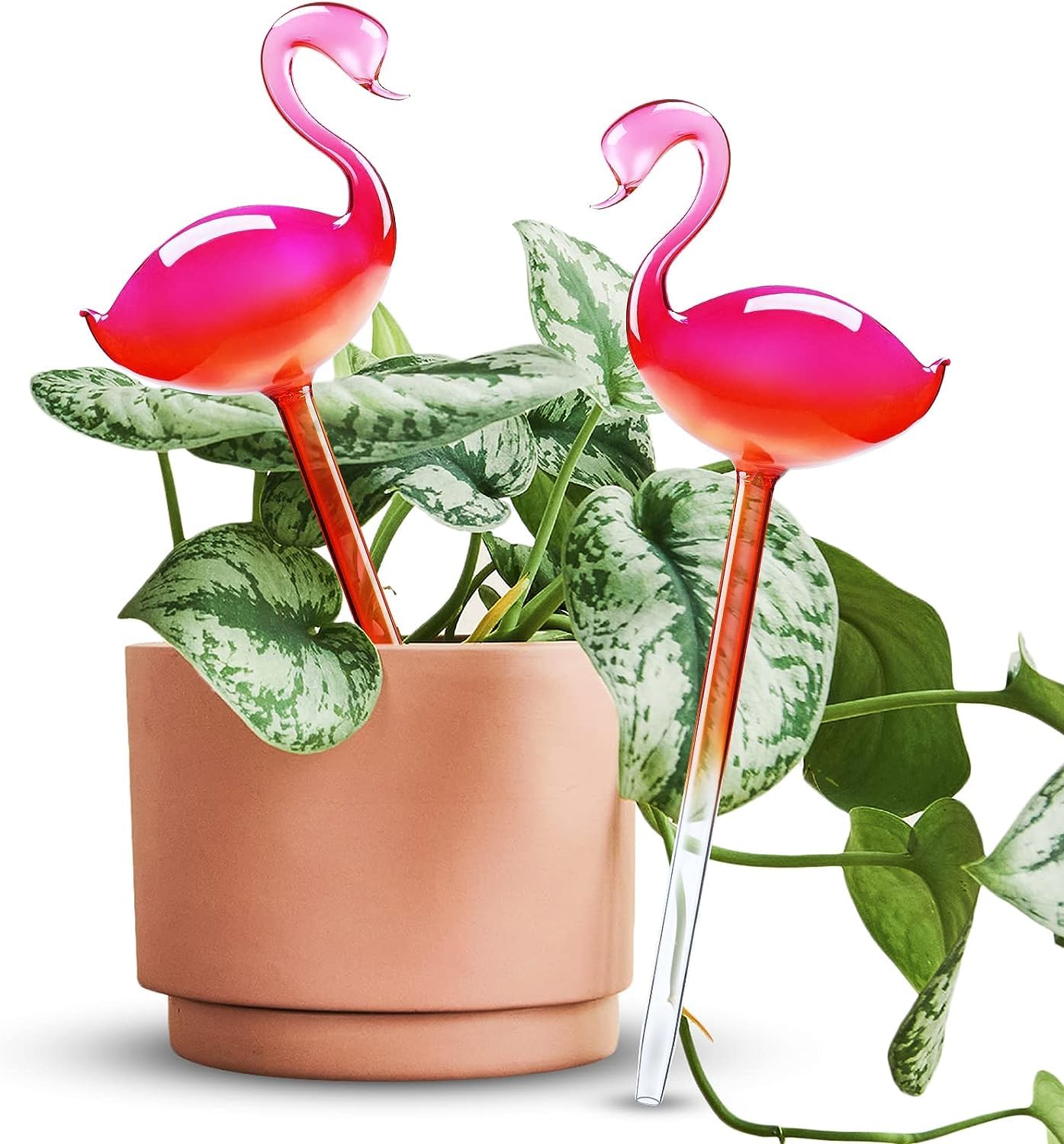 Azonee Self-Watering Glass Globes Flamingo Gradient Hot Pink Hand Blown Bulbs Pot Plant Waterer Home Indoor Outdoor Garden Patio Hanging Flower Aqua Spike Decorative Automatic Irrigation System 2PCS