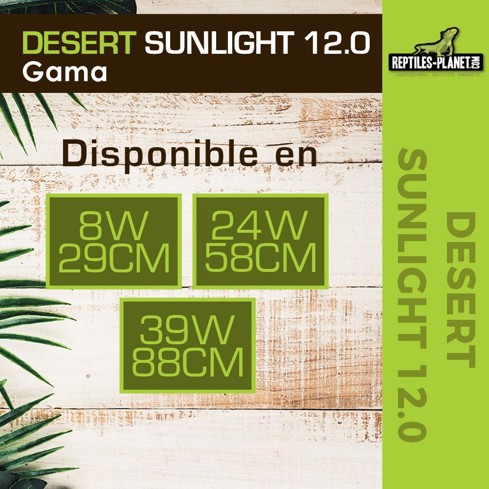 Reptiles Planet T5 Tubo UVB 12.0 Desierto Sunlight Francesa para Reptile/Amphibien 8 W L 29 cm diámetro 16 mm