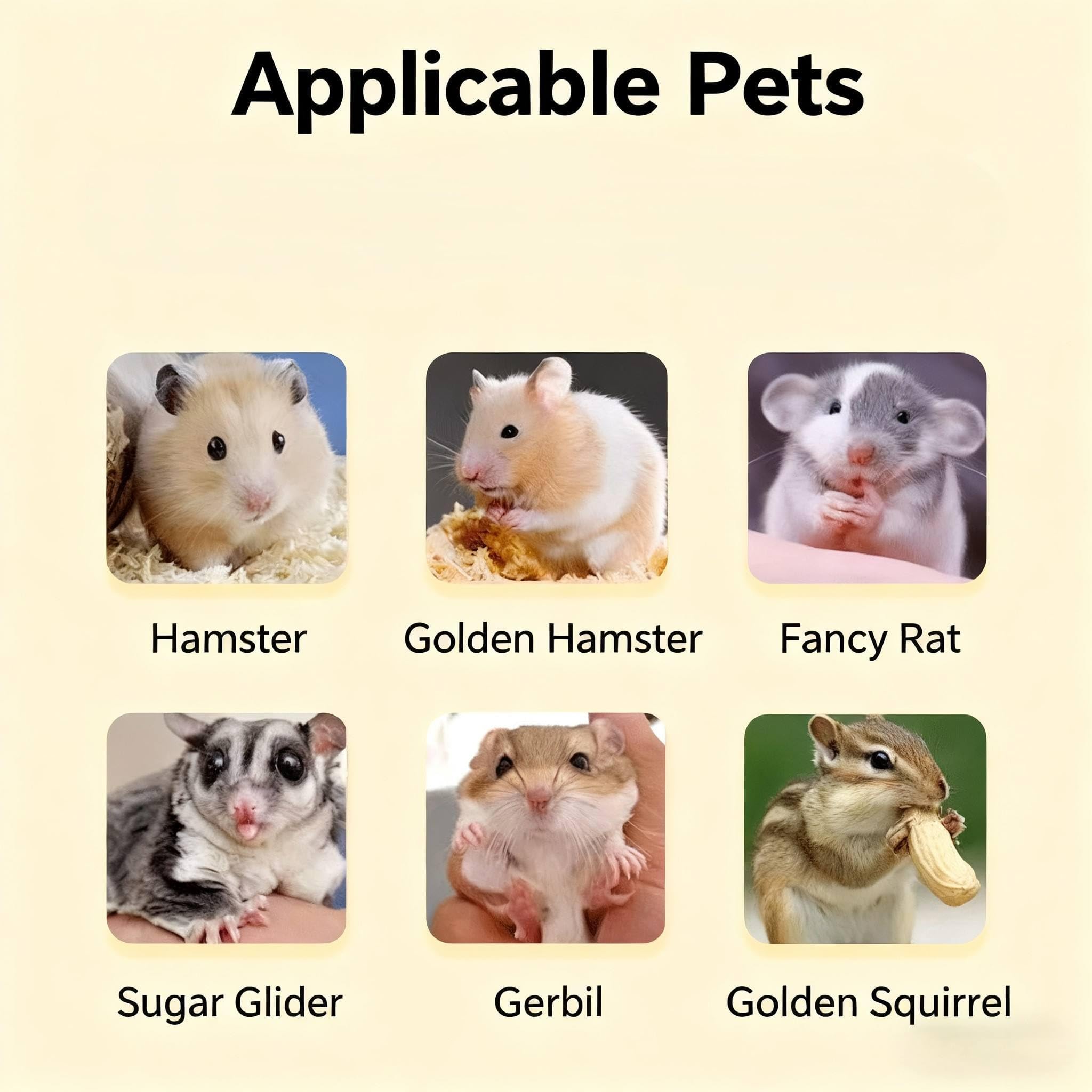 Garvee Cage à Hamster Transparente, Toit Plat, Kit Débutant 7 en 1