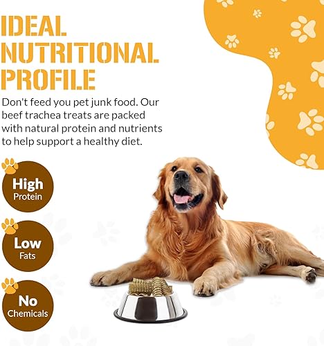 Miniatura 3 de Tráquea de carne para perros  Masticables para perros y cachorros  Increíbles para las articulaciones  Fabricado en Estados Unidos  6 pulgadas,