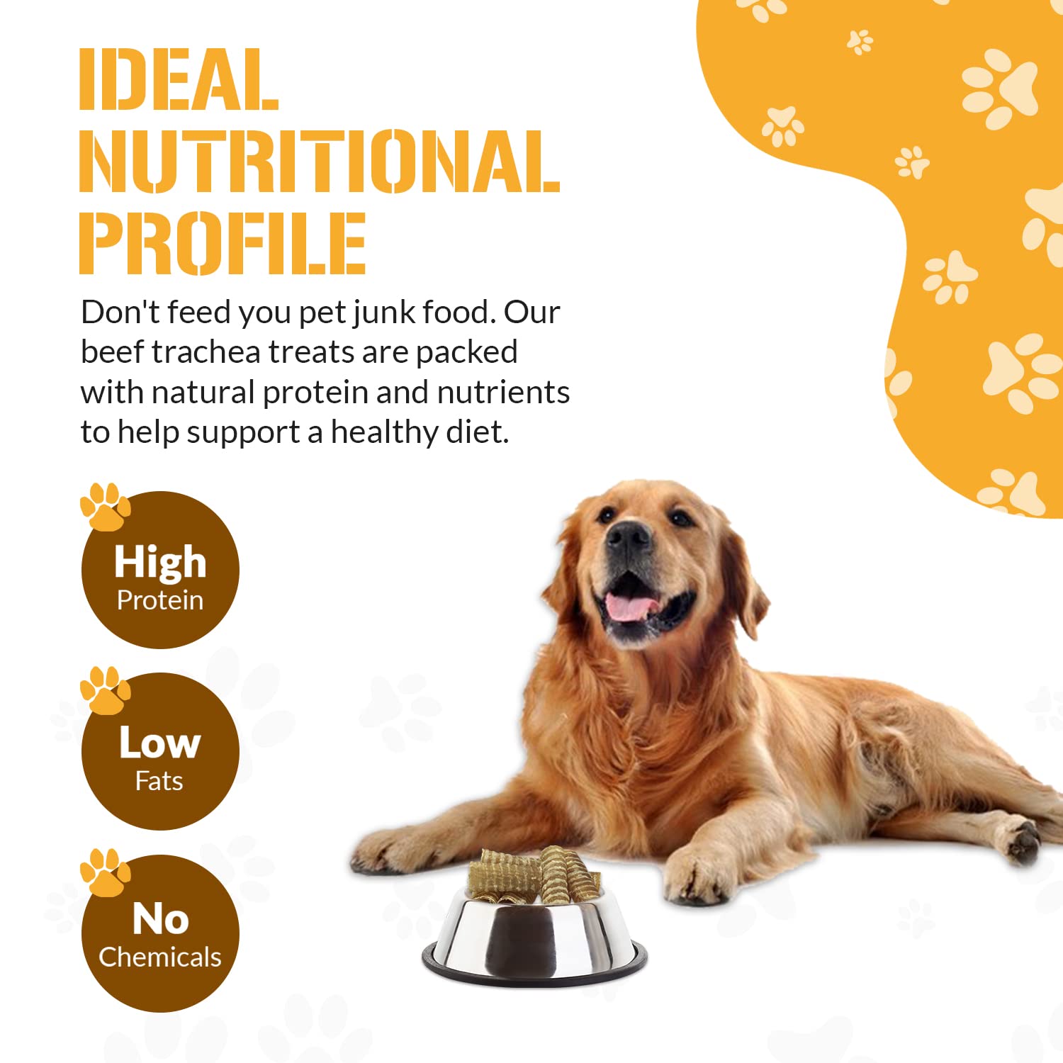 Are Trachea Chews Safe For Dogs